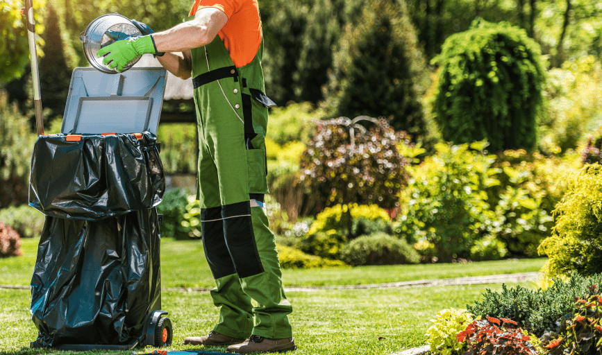 YARD CLEANUP